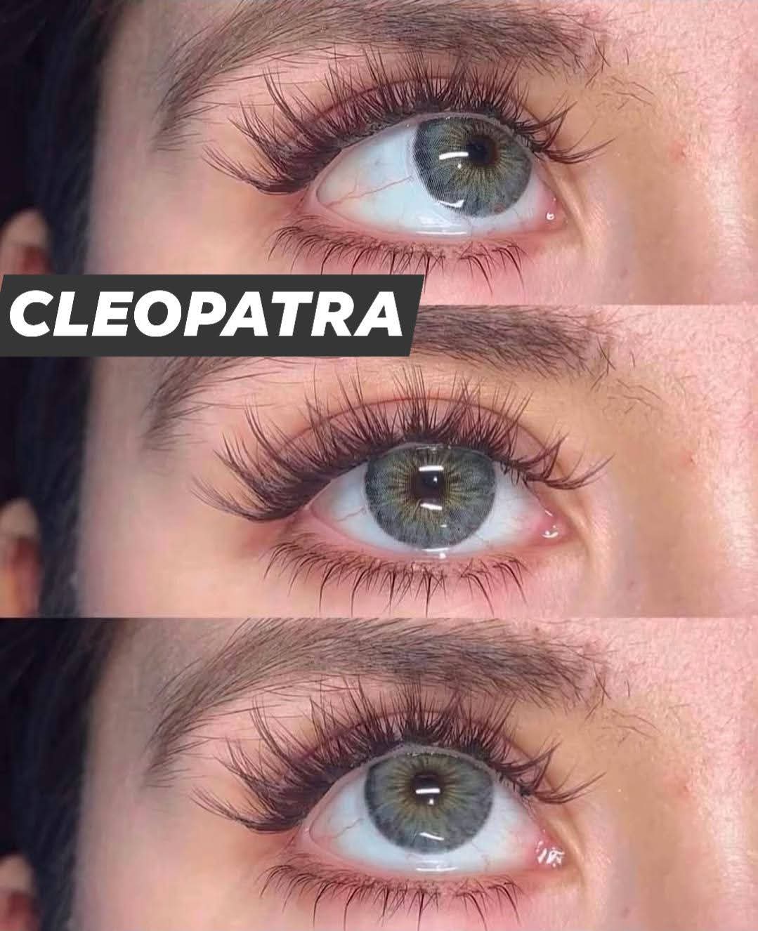 Cleopatra Gray RX