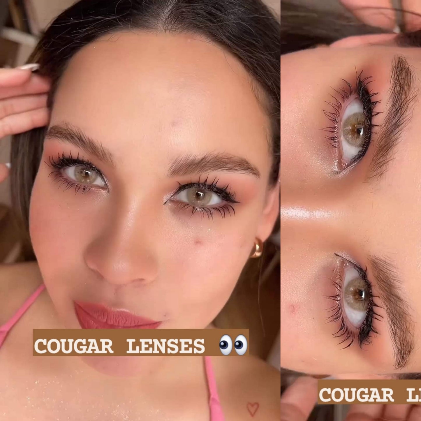 Cougar