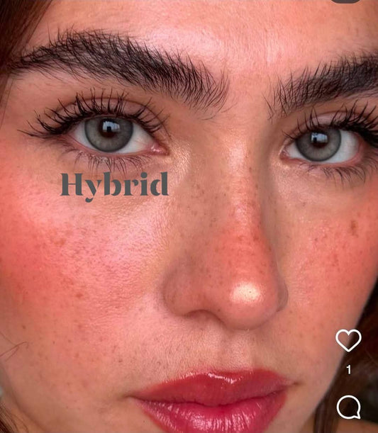 Hybrid